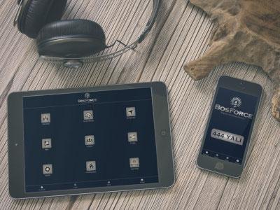 Bosforce Real Estate